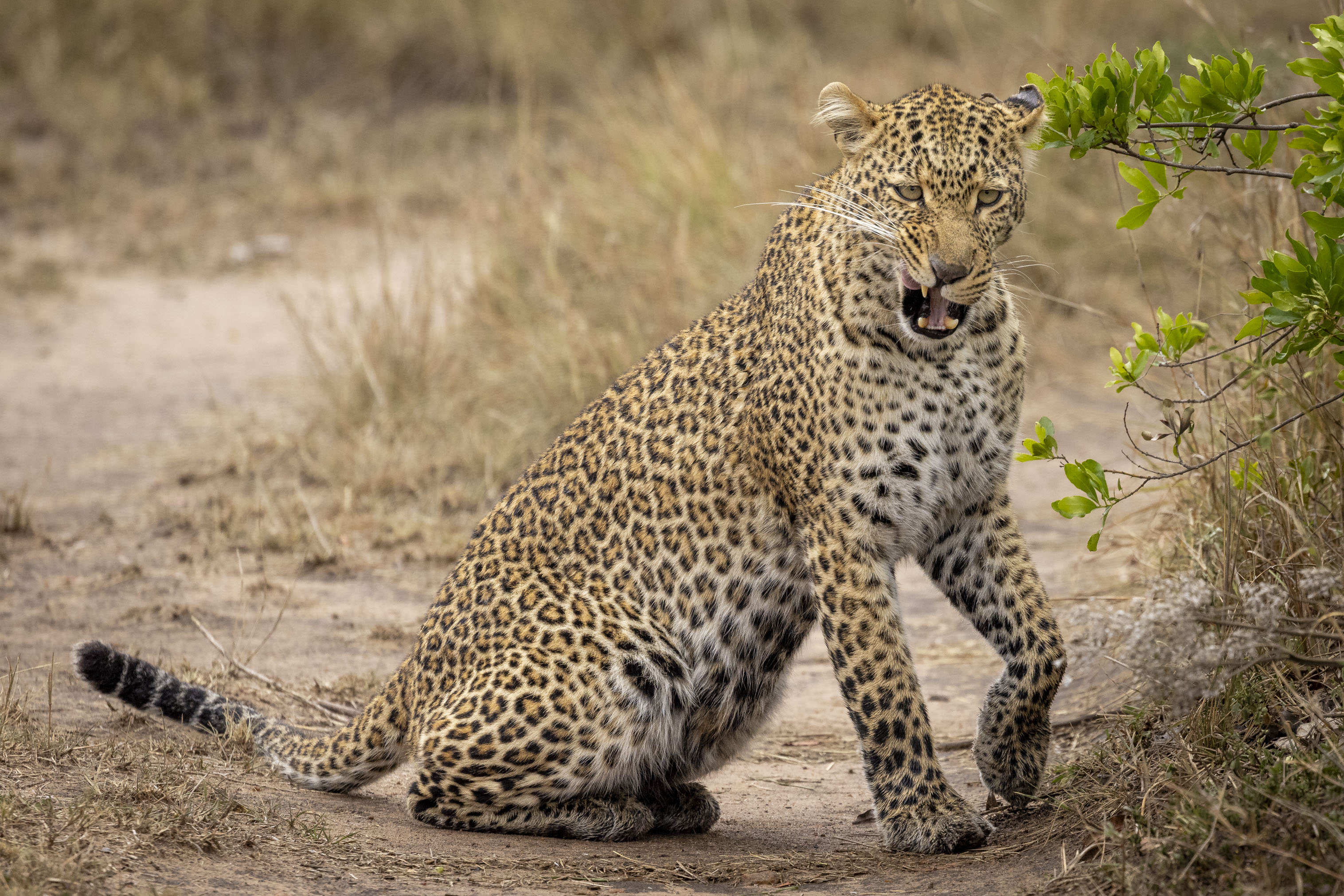 November 10, 2022-142431.jpg